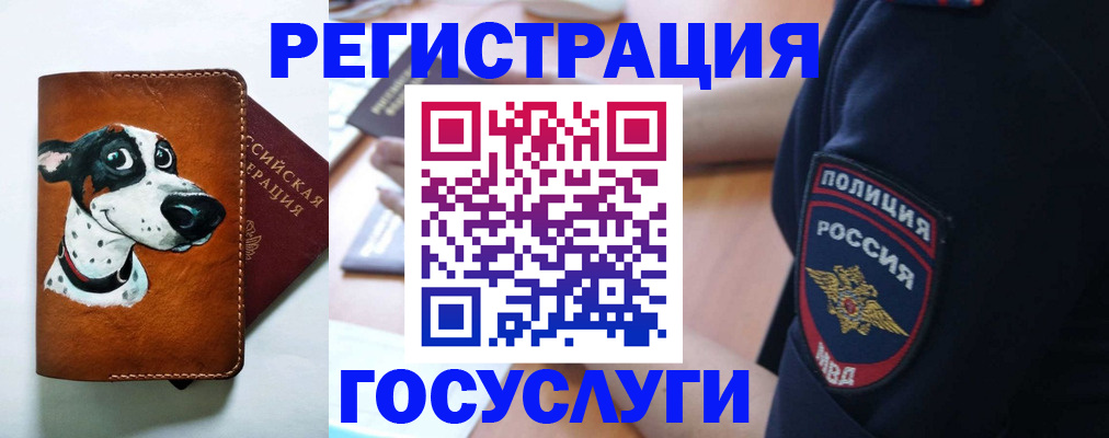 временная регистрация в квартире в Ингушетии